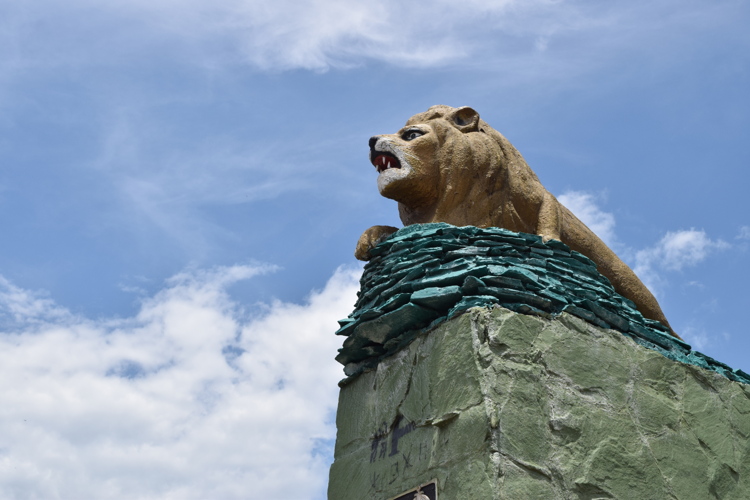 Monumento el León - Girardot