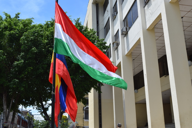 Bandera de Girardot