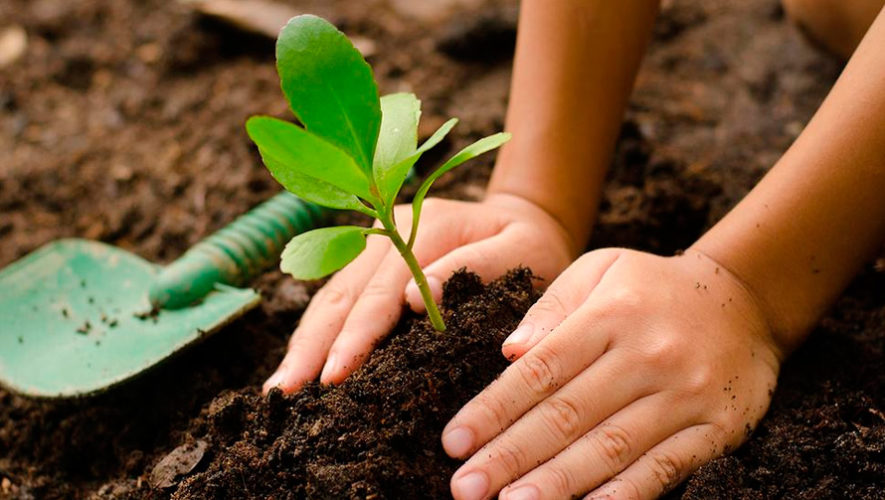 Día Mundial del Medio Ambiente